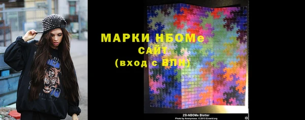 соль ск Няндома