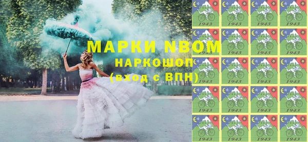 соль ск Няндома