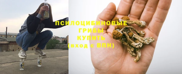 соль ск Няндома
