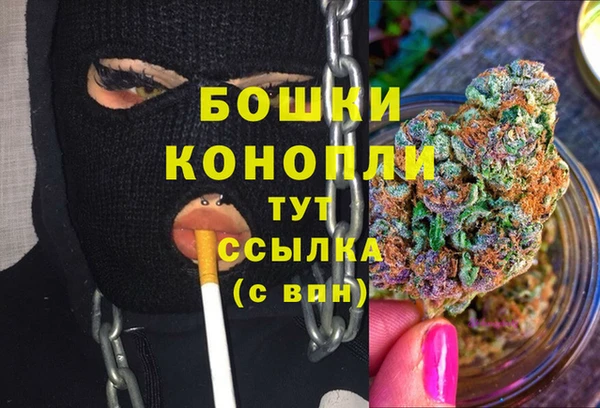 соль ск Няндома