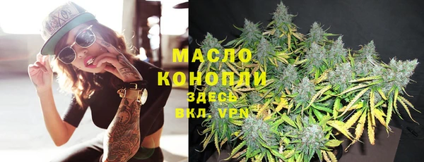 соль ск Няндома